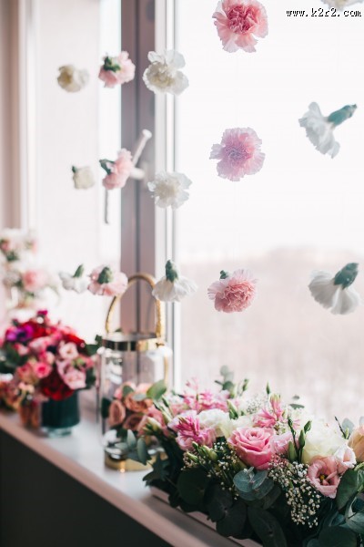 色彩缤纷的鲜花图片