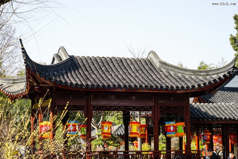 黄色和粉色腊梅花图片大全