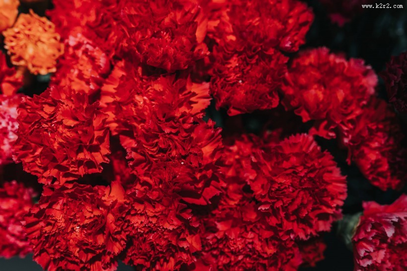 色彩缤纷的花束图片