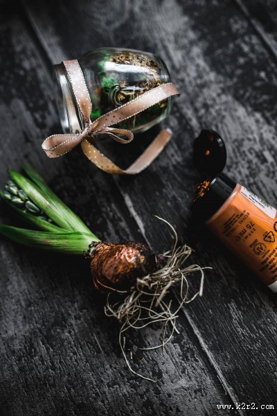 可爱的装饰幼苗图片