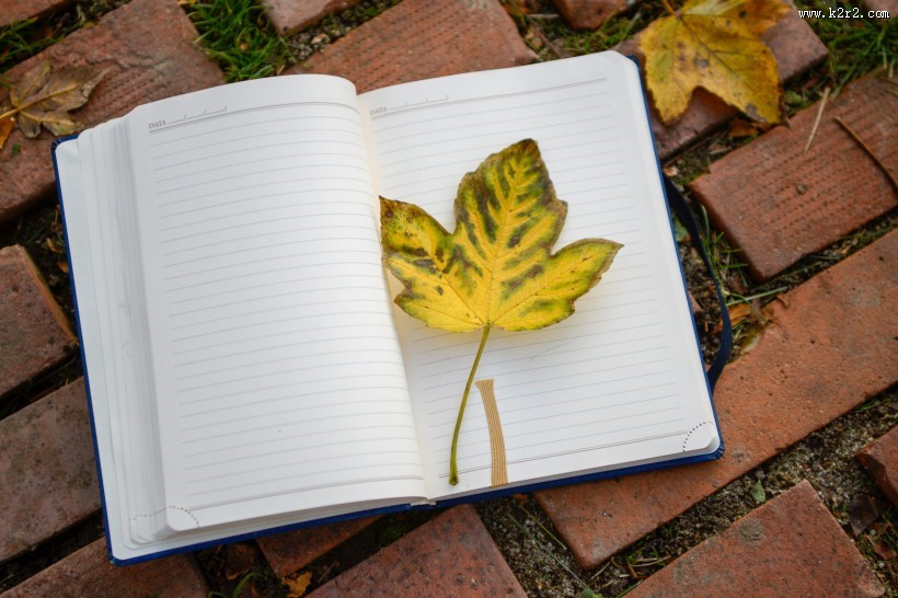 笔记本上的一片枫叶图片