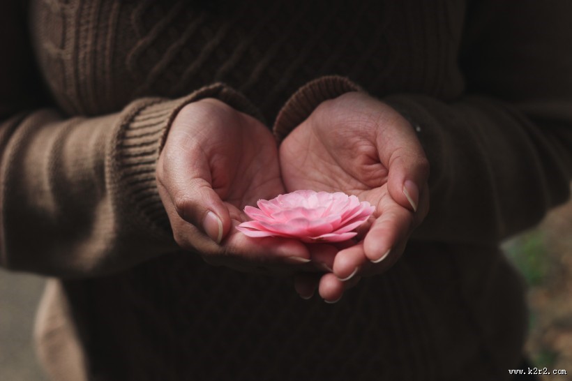 手中的鲜花图片大全