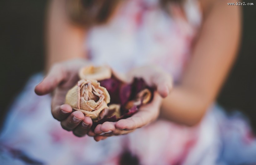 手中的鲜花图片大全