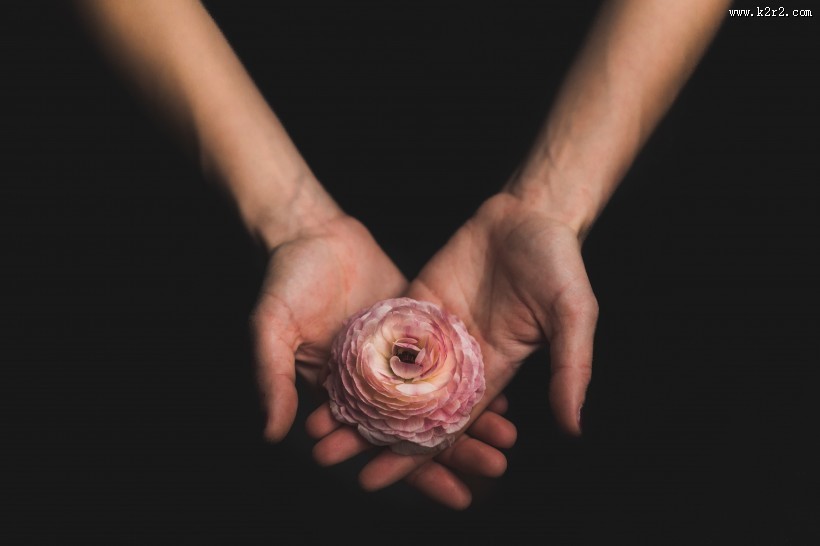 手中的鲜花图片大全