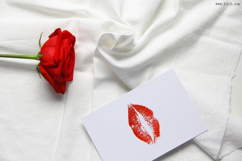 七夕情人节红玫瑰图片大全