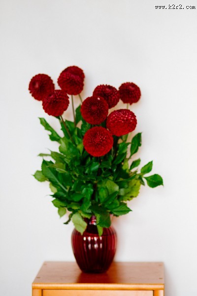 插着花的花瓶图片