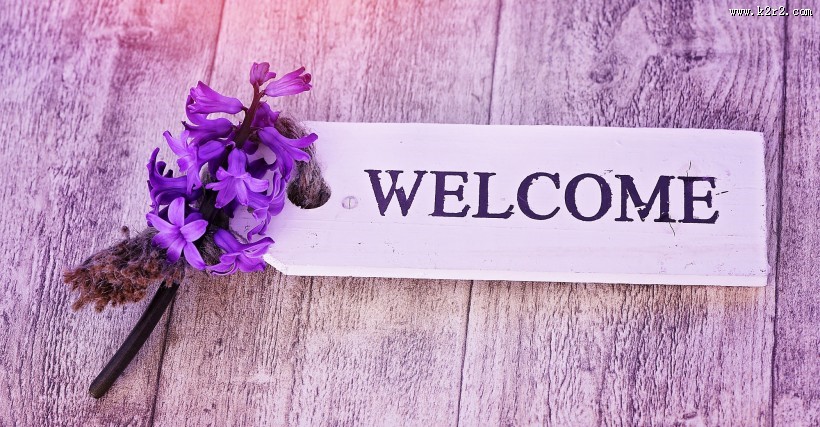 紫色优雅风信子图片