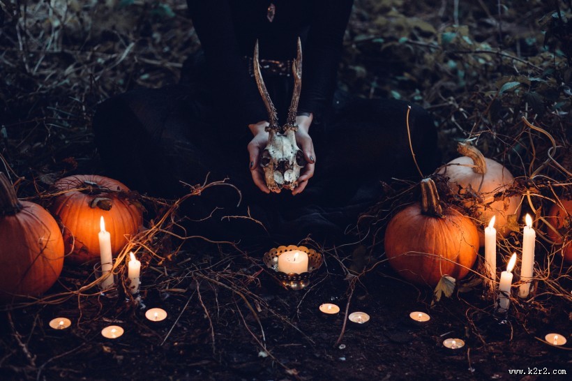 形态各异的南瓜图片