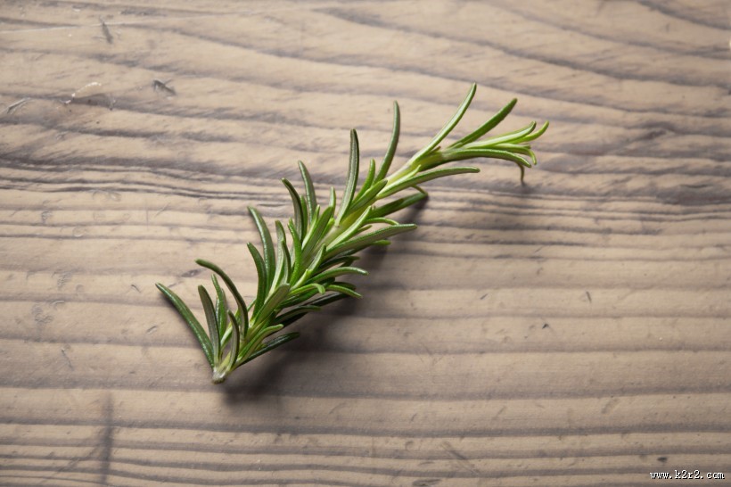 绿色鲜嫩迷迭香图片