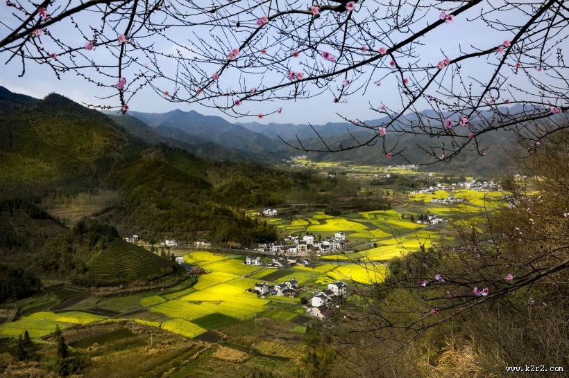远眺油菜花田图片