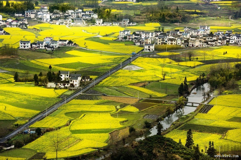远眺油菜花田图片