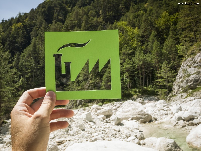 清新绿色植物图片大全