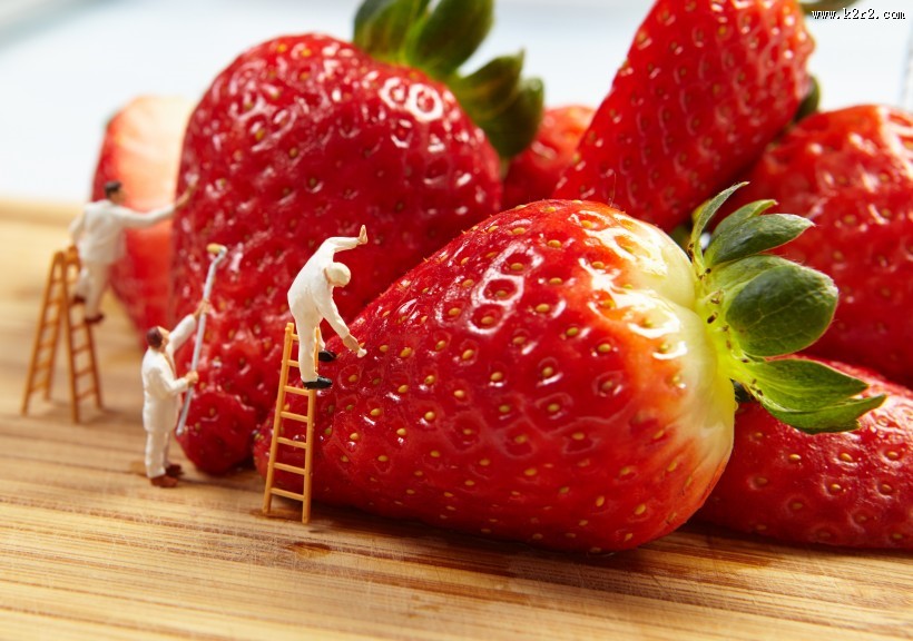 清新绿色植物图片大全