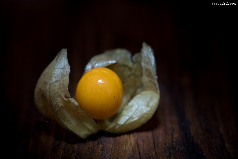 营养丰富的酸浆图片