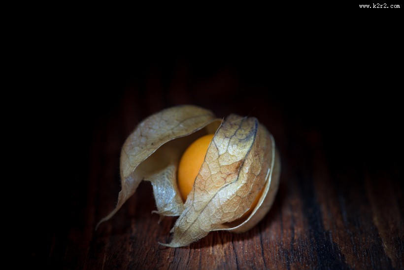 营养丰富的酸浆图片