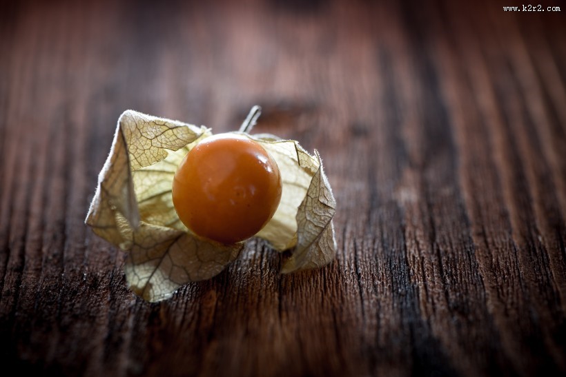 营养丰富的酸浆图片