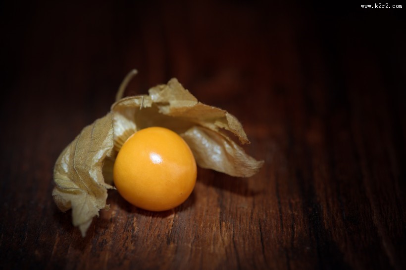 营养丰富的酸浆图片