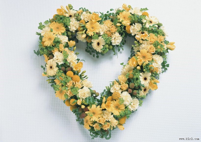 美丽的花环图片