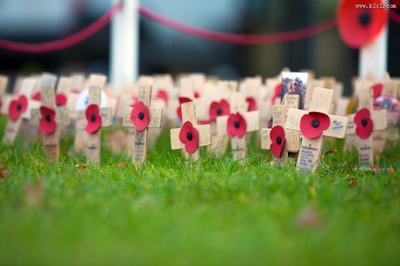 十字上的罂粟花图片