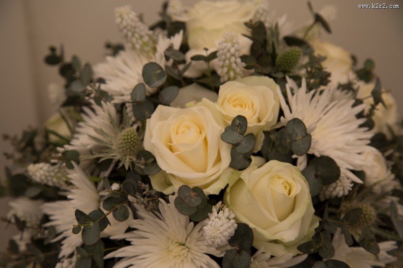 黄色玫瑰花束图片