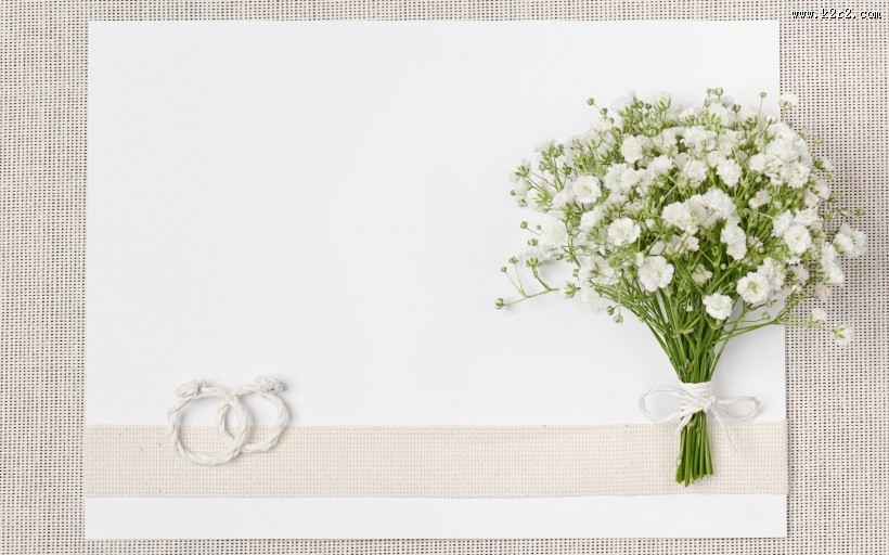 简约好看花卉图片大全