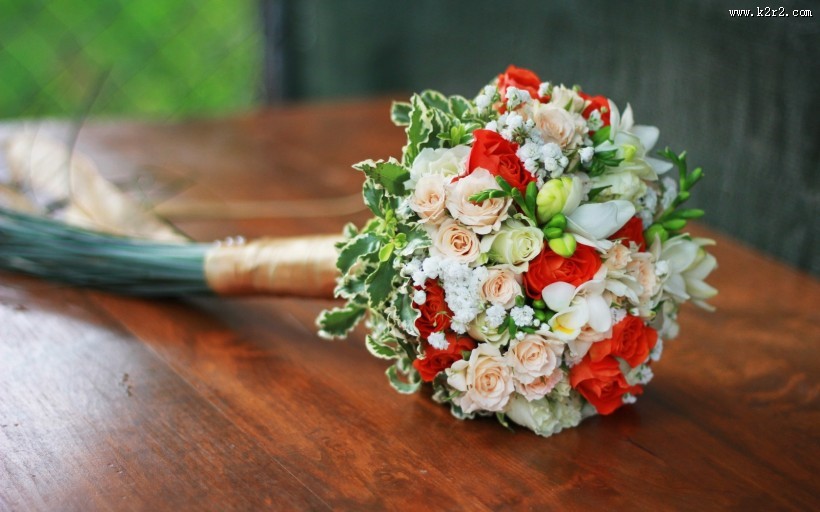 简约好看花卉图片大全