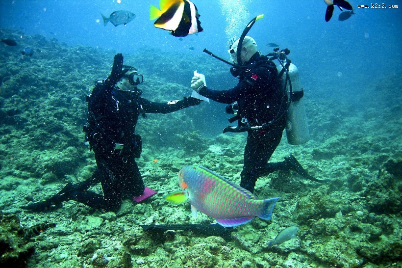 海底潜水人物图片大全