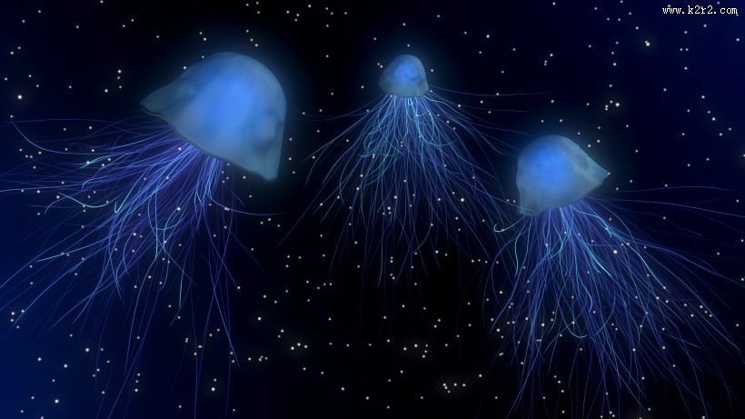 海底水母图片