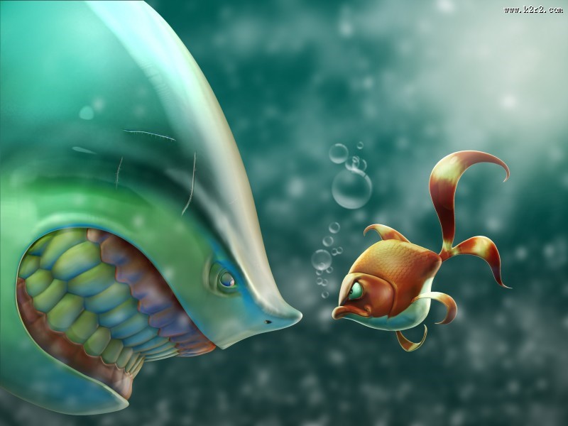 可爱热带鱼图片