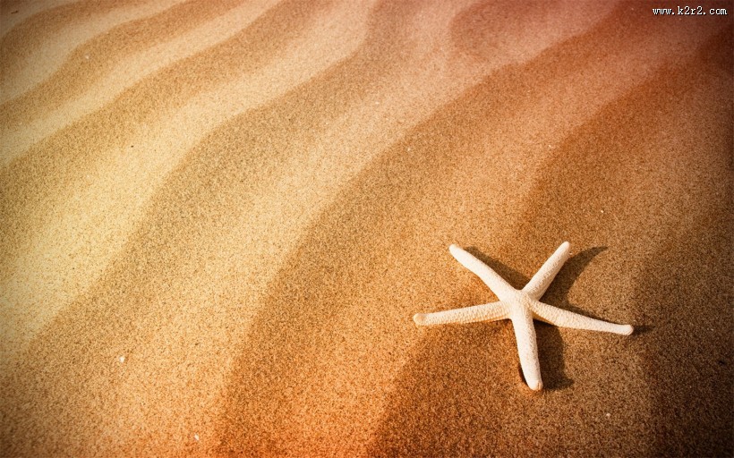 深海里的海星图片