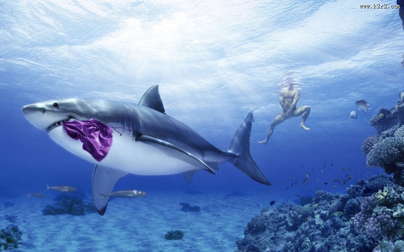 深海狂鲨图片