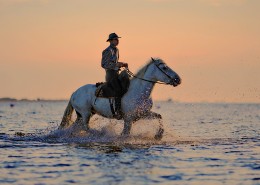 骑着马的人物图片大全