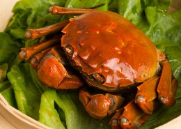 美味清蒸大闸蟹图片