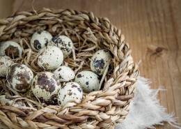 富含营养的鹌鹑蛋图片