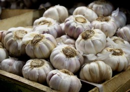 杀毒杀菌的大蒜图片大全