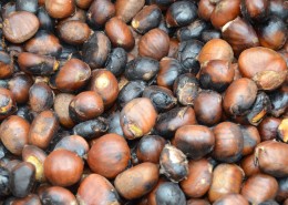 美味可口的板栗图片