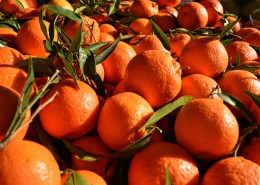 新鲜的橘子图片