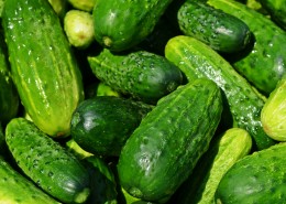 新鲜的黄瓜图片