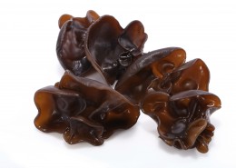 新鲜有机黑色木耳图片