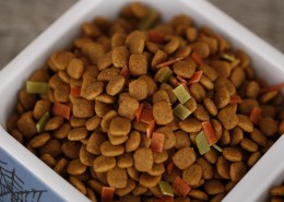 狗狗的美味食物狗粮图片大全