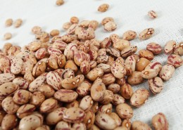 漂亮好吃的奶花豆图片大全