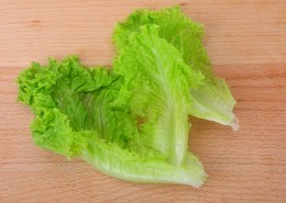 翠绿鲜嫩的生菜图片大全