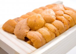 新鲜海胆肉图片大全