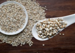 颗粒饱满的薏米图片