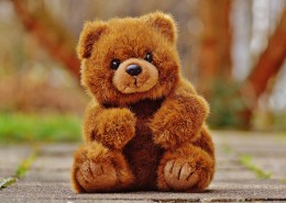 毛绒绒的玩具熊图片