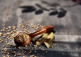 各种各样的勺子图片