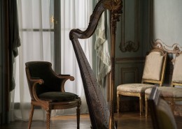 历史悠久的竖琴图片