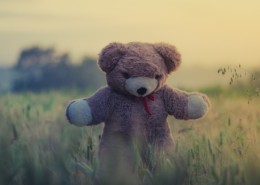 可爱的泰迪熊玩具图片