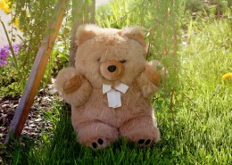 可爱的玩具熊图片大全