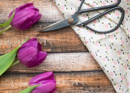 一把锋利的剪刀图片